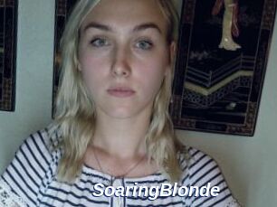 SoaringBlonde
