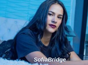 SofiaBridge