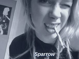 Sparrow