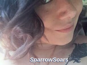 SparrowSoars