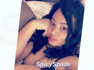 SpicySpade