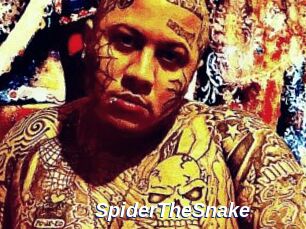 SpiderTheSnake