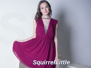 SquirrelLittle