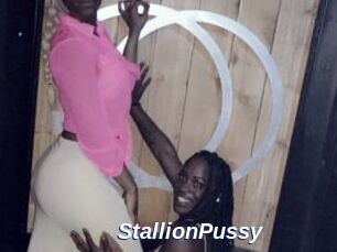 StallionPussy