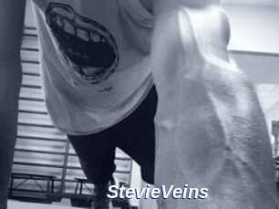 StevieVeins