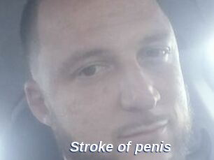 Stroke_of_penis