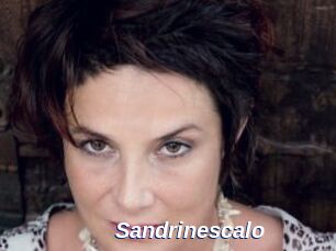 Sandrinescalo