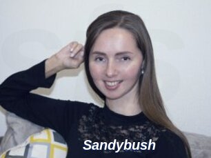 Sandybush