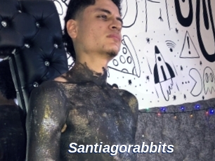 Santiagorabbits