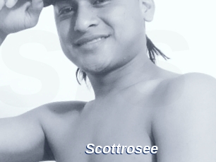 Scottrosee