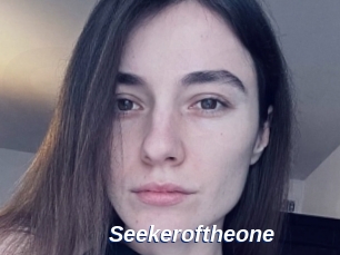 Seekeroftheone