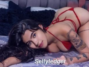 Sellyledger