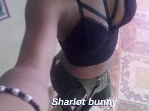 Sharlot_bunny