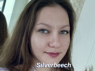 Silverbeech