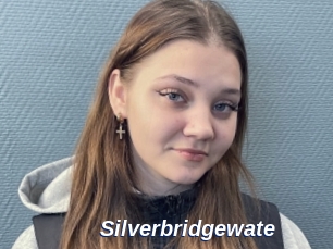 Silverbridgewate