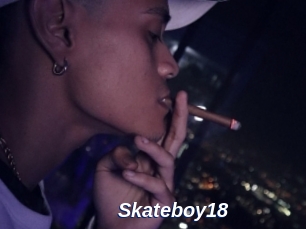 Skateboy18