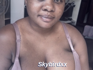 Skybirdxx