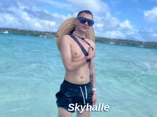 Skyhalle