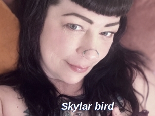 Skylar_bird