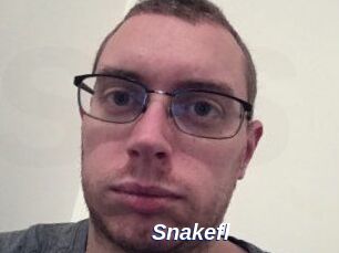 Snakefl