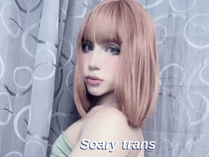 Soary_trans