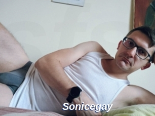 Sonicegay