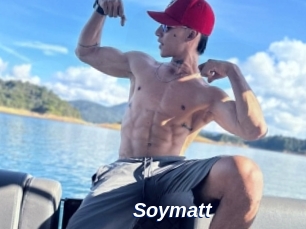 Soymatt