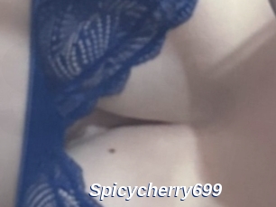 Spicycherry699