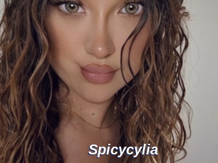 Spicycylia