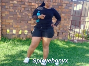 Spicyebonyx