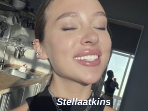 Stellaatkins