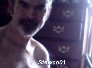 Stewco01