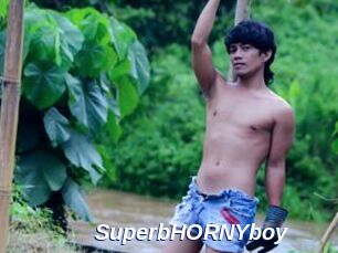 SuperbHORNYboy