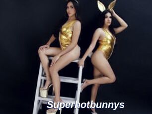 Superhotbunnys