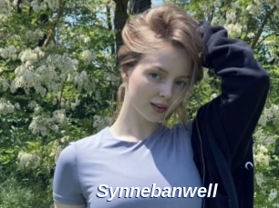 Synnebanwell