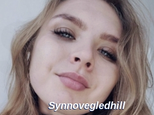 Synnovegledhill