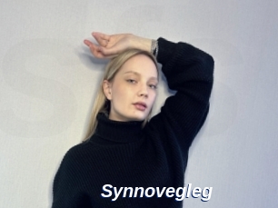 Synnovegleg