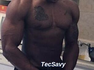 TecSavy