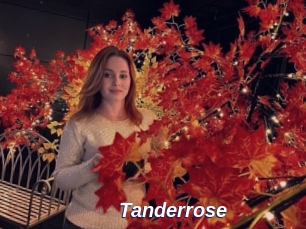 Tanderrose