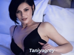 Taniyagrey