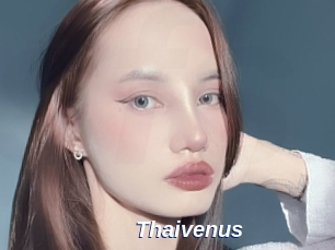 Thaivenus