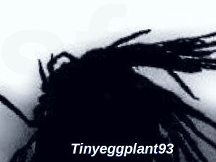Tinyeggplant93