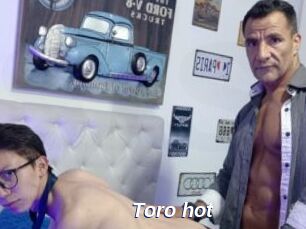 Toro_hot