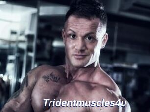 Tridentmuscles4u