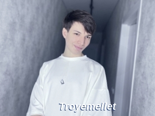 Troyemellet