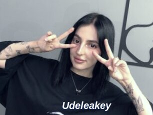 Udeleakey