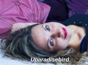 Uparadisebird