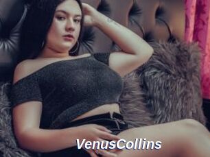 VenusCollins