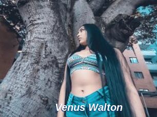 Venus_Walton