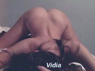 Vidia